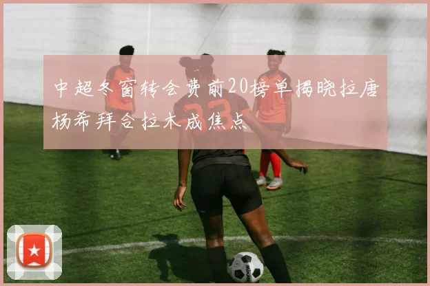 中超冬窗转会费前20榜单揭晓拉唐杨希拜合拉木成焦点